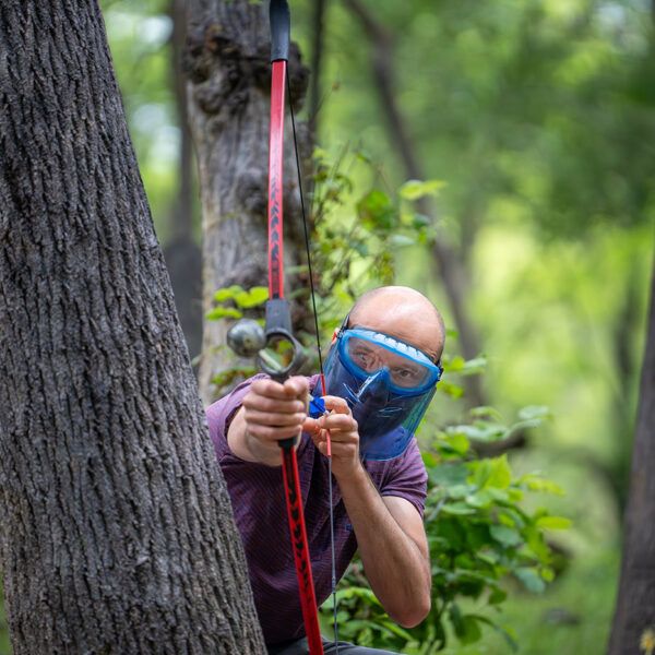 Archery Tag
